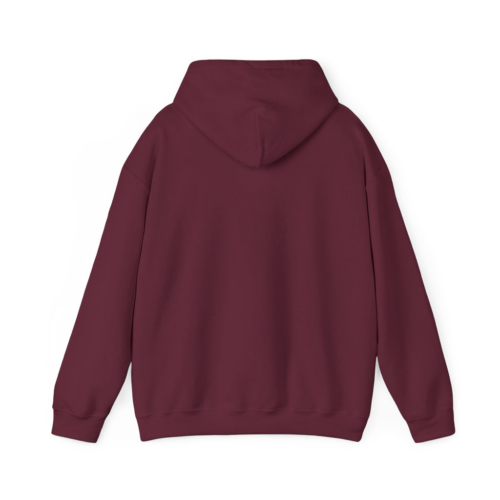 Southern Glow Graphic Hoodie – Warm, Cozy & Full of Good Vibes