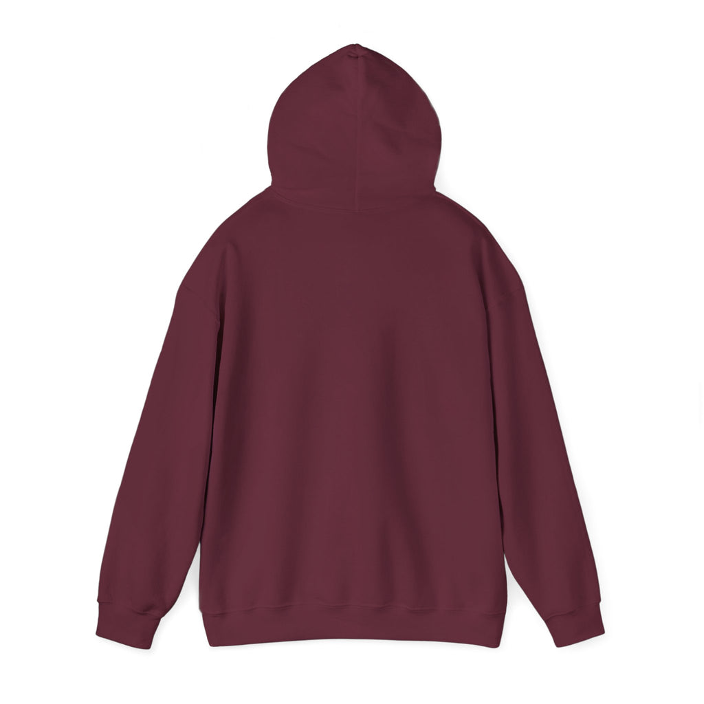 Southern Glow Graphic Hoodie – Warm, Cozy & Full of Good Vibes